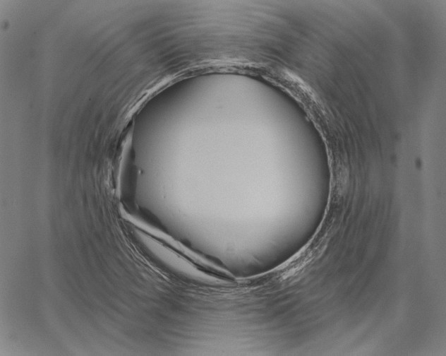 X0000066531361200604071606