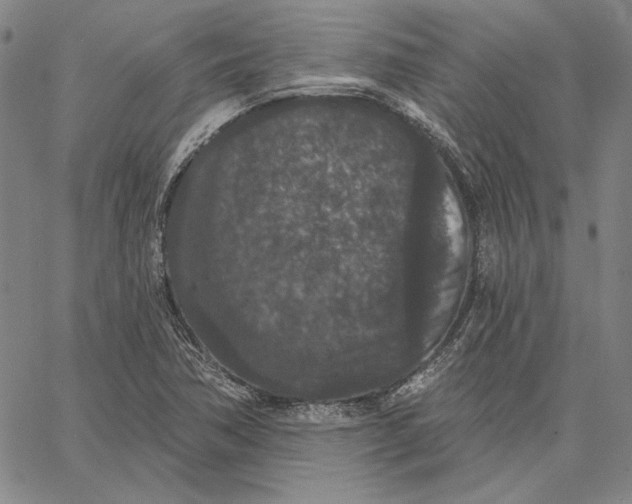 X0000066531362200604071606