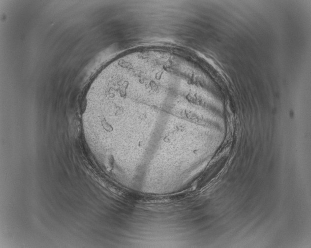 X0000066531363200604071606