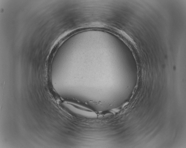 X0000066531364200604071606