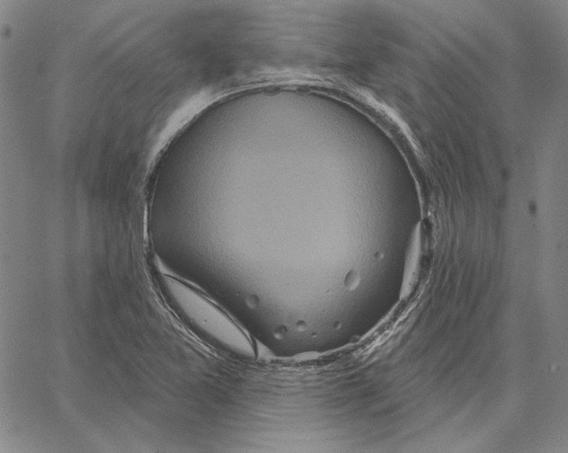 X0000066531365200604071606