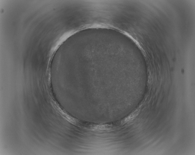 X0000066531367200604071606