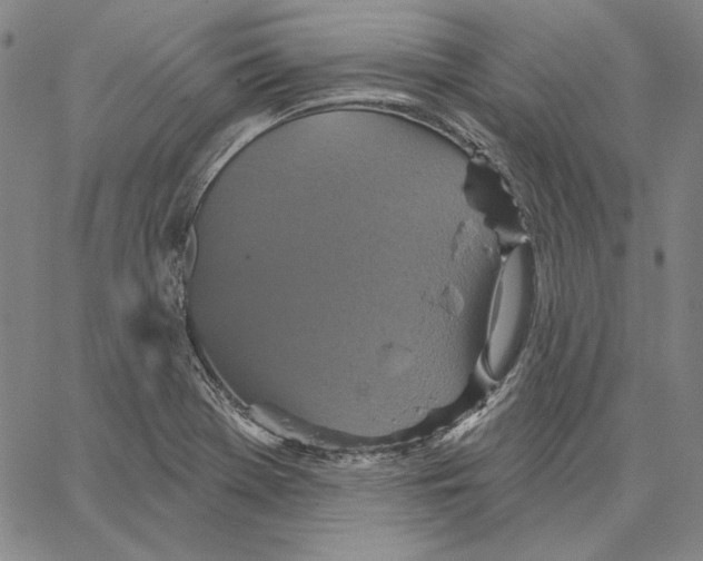 X0000066531369200604071606