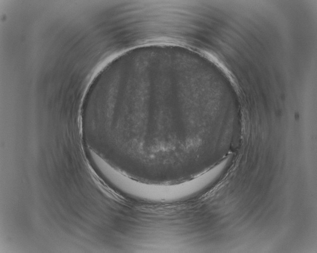 X0000066531372200604071606