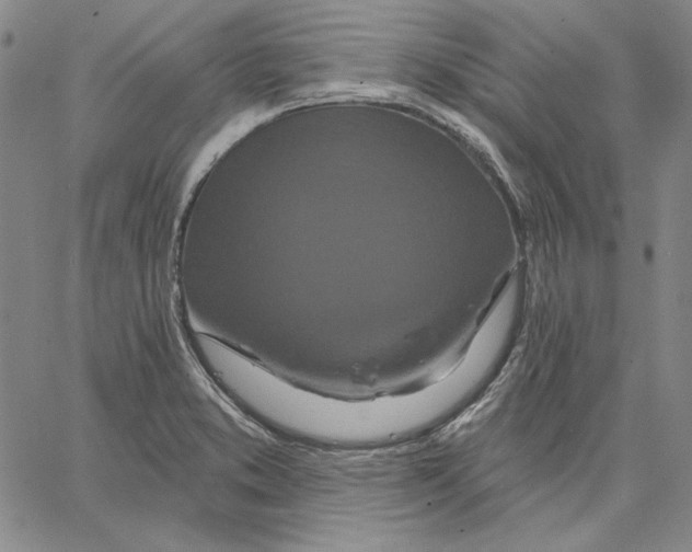 X0000066531373200604071606