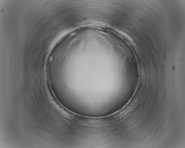 X0000066531375200604071606