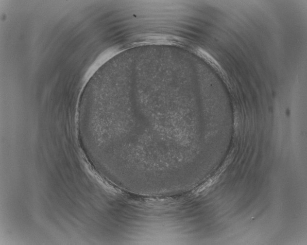 X0000066531378200604071606