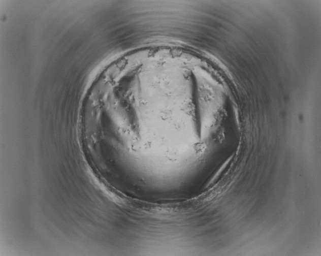 X0000066531379200604071606