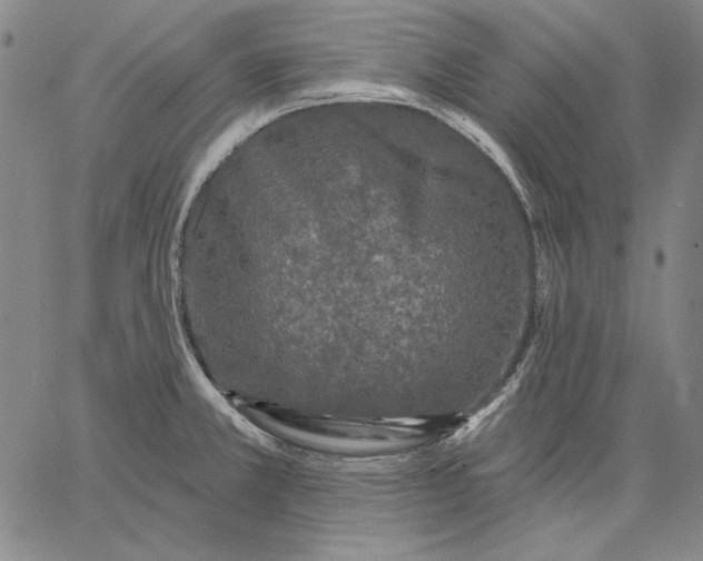 X0000066531381200604071606