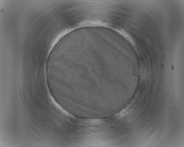 X0000066531382200604071606