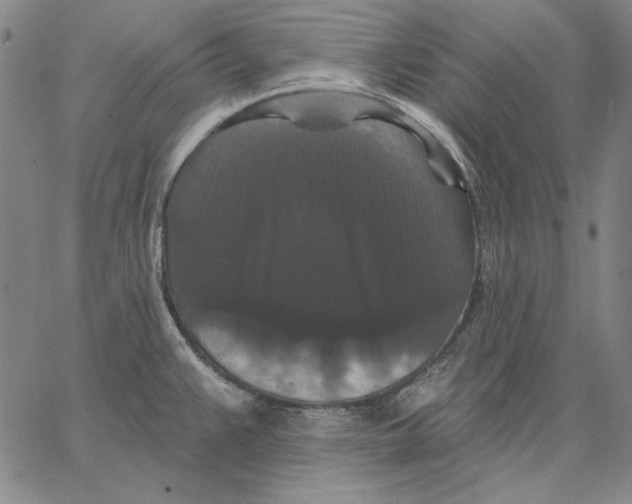 X0000066531383200604071606