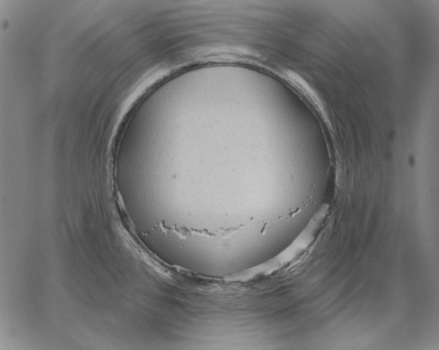 X0000066531384200604071606