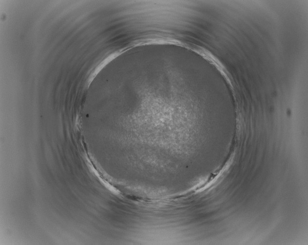 X0000066531385200604071606