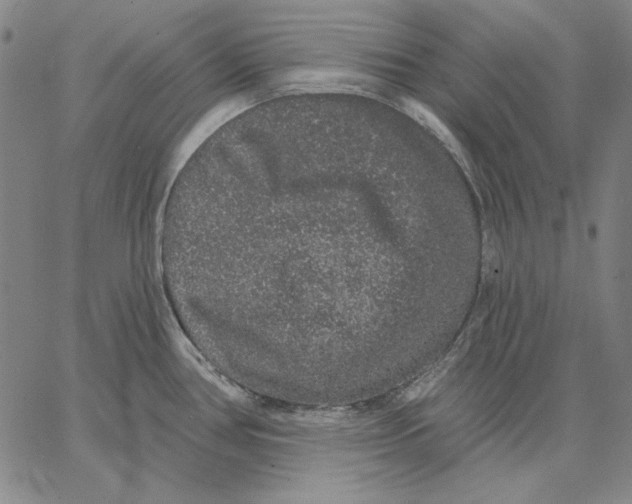 X0000066531386200604071606