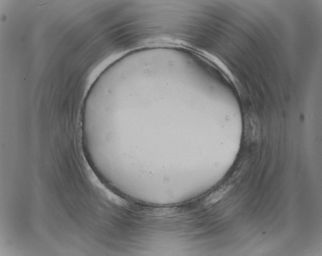 X0000066531387200604071606