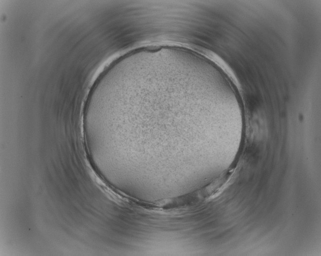 X0000066531388200604071606