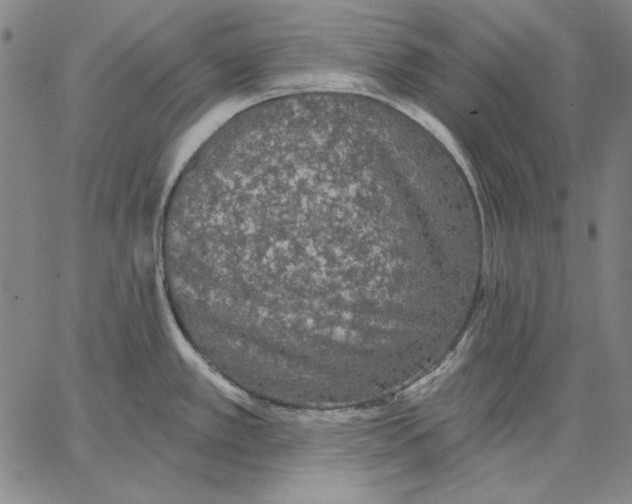 X0000066531389200604071606