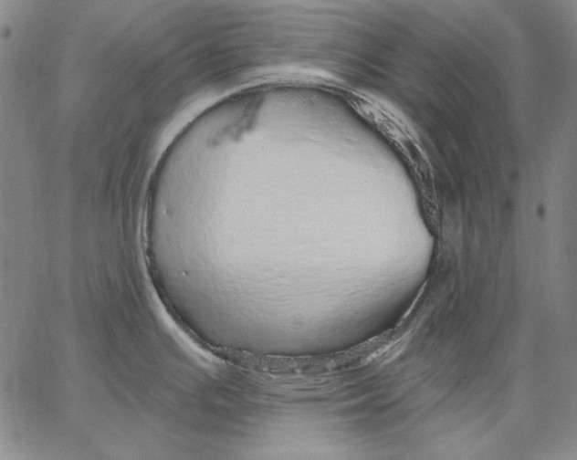 X0000066531391200604071606