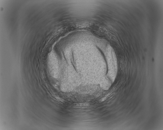 X0000066531393200604071605