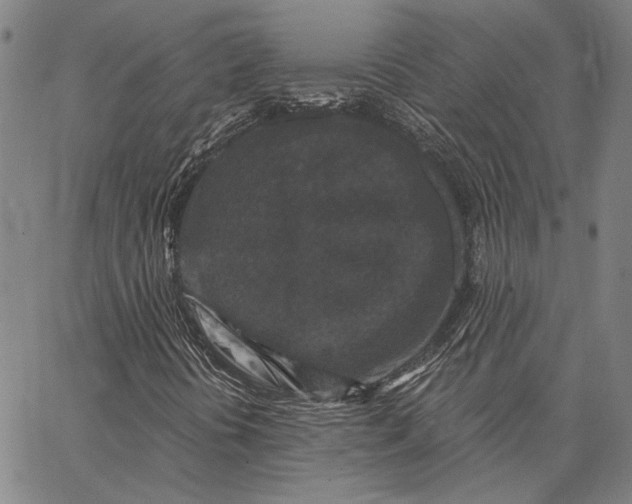 X0000066531394200604071605