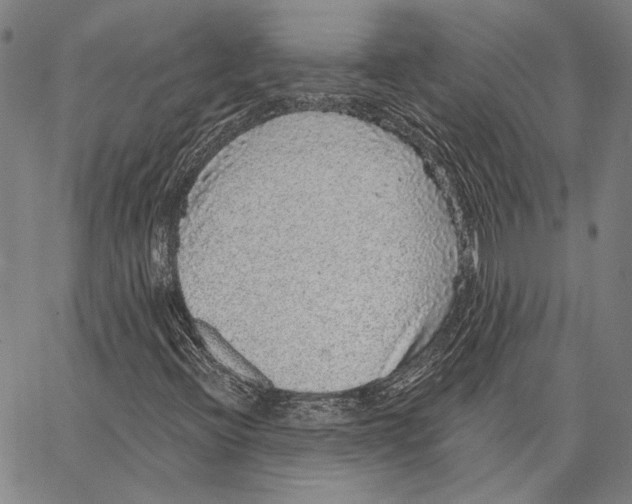 X0000066531396200604071605