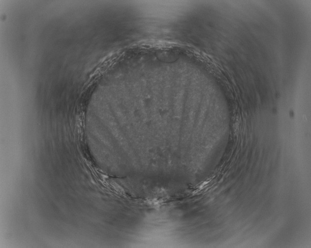 X0000066531397200604071605