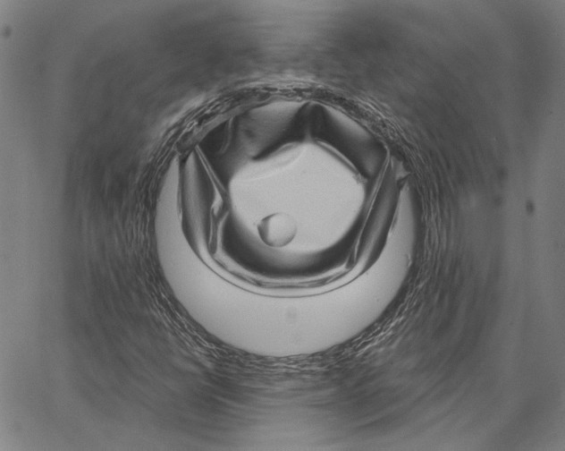 X0000066531398200604071605