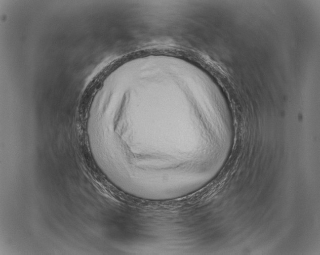 X0000066531400200604071605