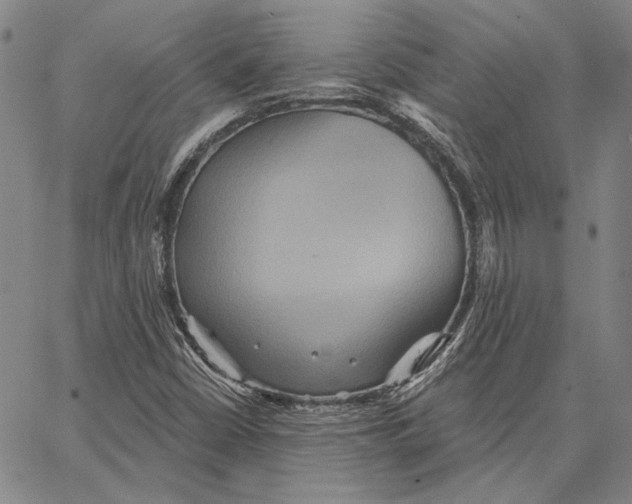 X0000066531402200604071605