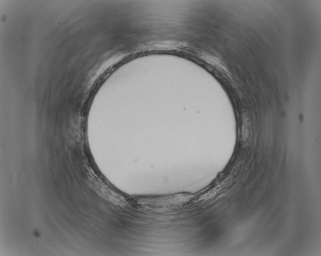 X0000066531404200604071605