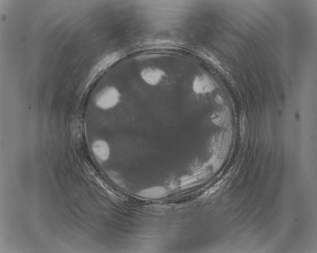 X0000066531405200604071605