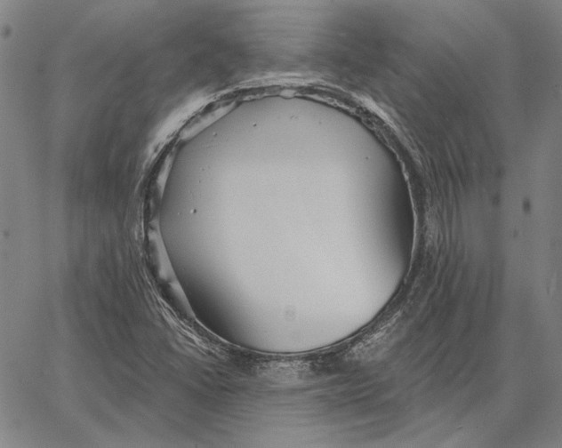 X0000066531406200604071605