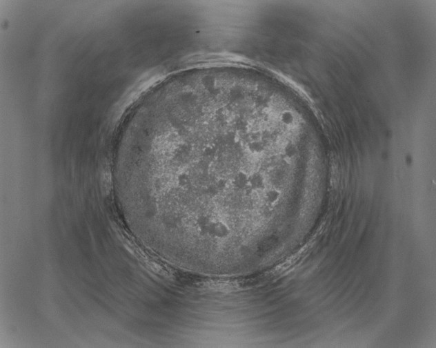 X0000066531407200604071605