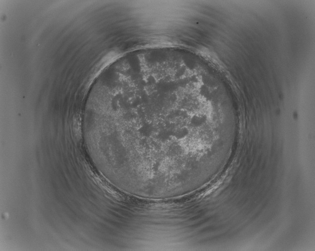 X0000066531409200604071605