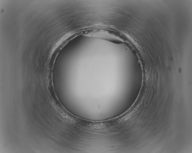 X0000066531410200604071605