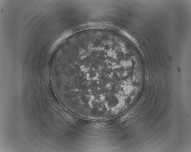 X0000066531411200604071605