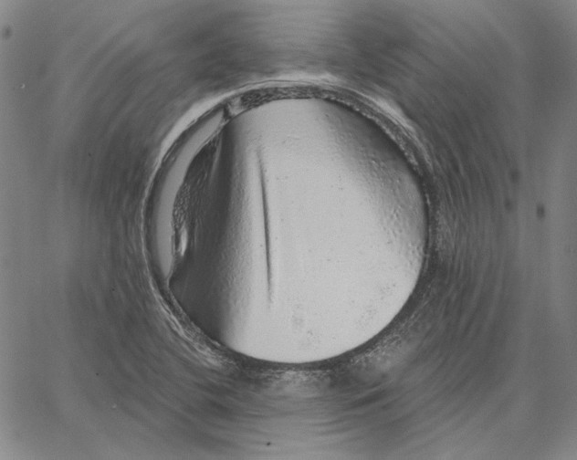 X0000066531412200604071605