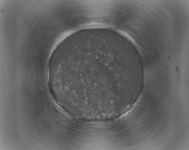 X0000066531413200604071605