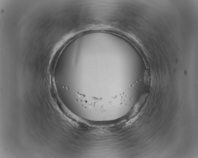 X0000066531414200604071605