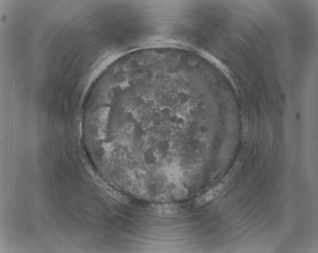 X0000066531415200604071605