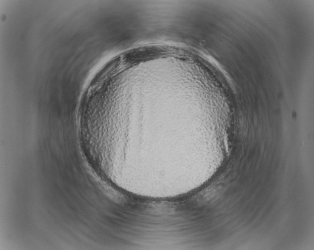 X0000066531416200604071605