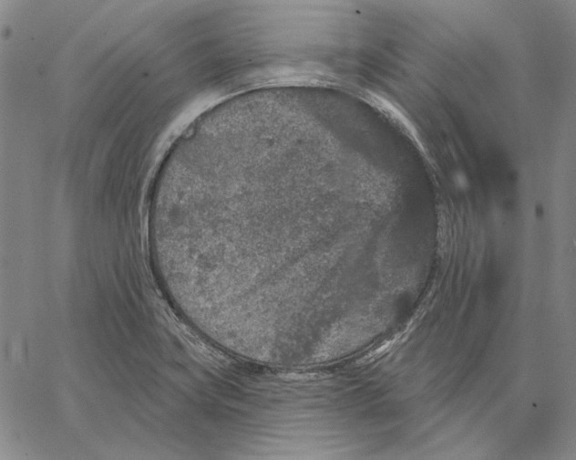 X0000066531419200604071605