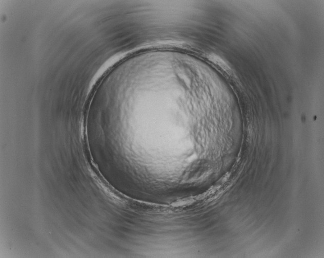 X0000066531420200604071605