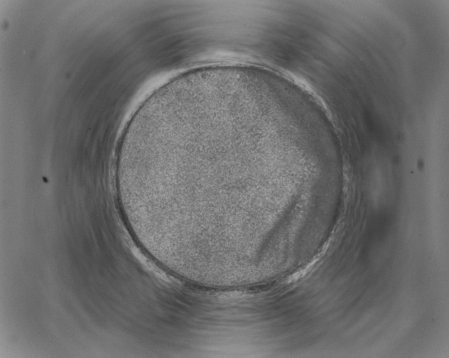 X0000066531421200604071605