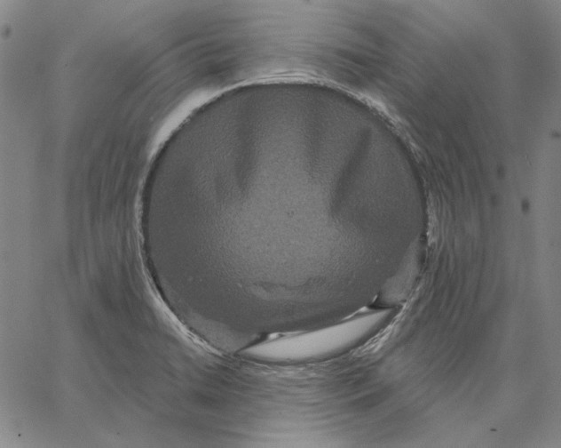 X0000066531422200604071605