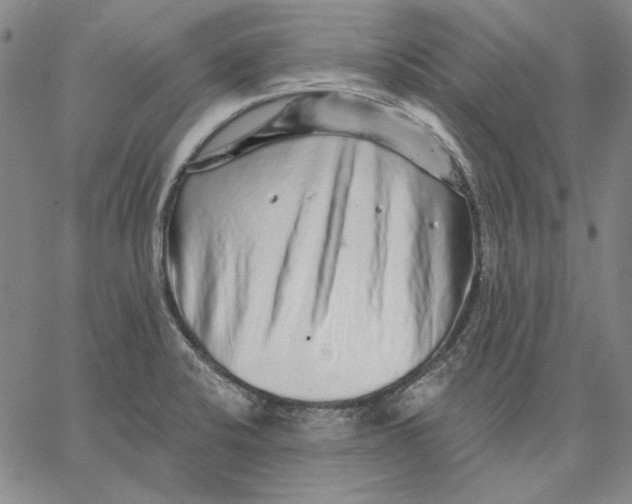 X0000066531424200604071605