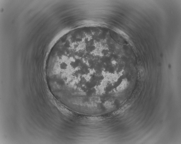 X0000066531427200604071606