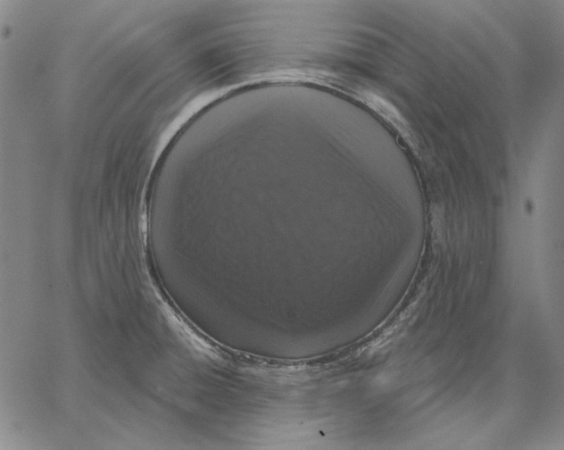 X0000066531428200604071606