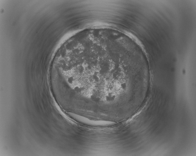 X0000066531429200604071606