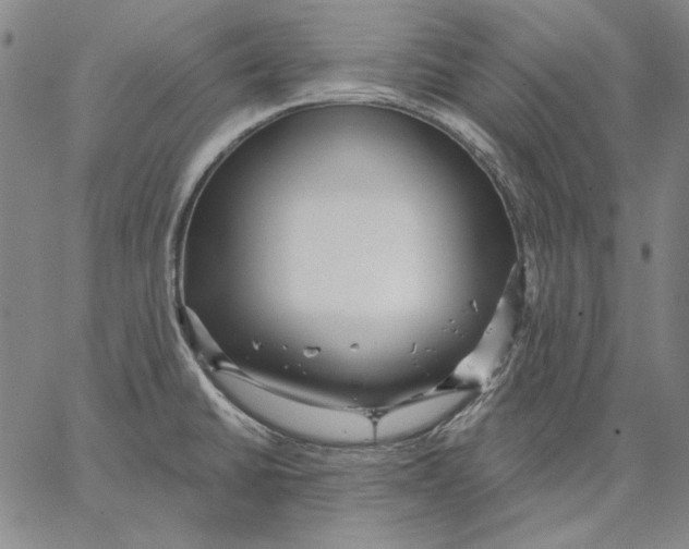 X0000066531430200604071606